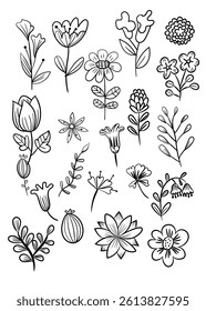 flower hand drawn element vector