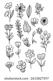 flower hand drawn element vector