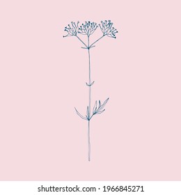 Flower hand drawn flat illustration. Botanical design elements. Vector sketch clip art.