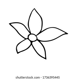 Flower hand drawn illustration, single object. Botany illustration in doodle style. Vector line art. Isolated black on white background.