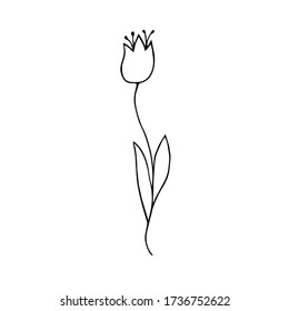 Flower hand drawn illustration, single object. Botany illustration in doodle style. Vector line art. Isolated black on white background.