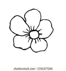 Flower hand drawn illustration, single object. Botany illustration in doodle style. Vector line art. Isolated black on white background.
