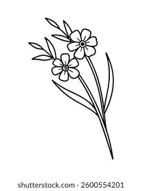 Flower Hand Drawn illustration Vector