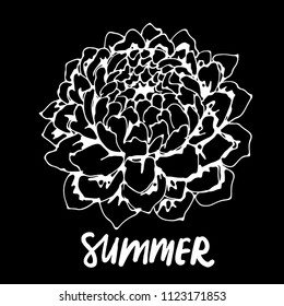 Flower. Hand drawn isolated on black background