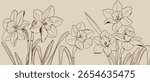 Flower hand drawn on white background vector. Natural botanical elegant daffodils with brown line art. Luxury illustration for decoration, wall decor, wallpaper, cover, banner, package, card.