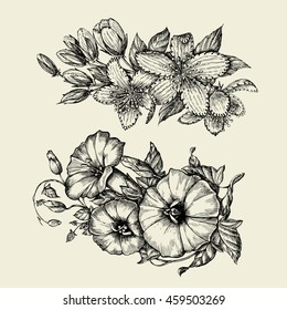 Flower. Hand drawn sketch bindweed, tutsan, hypericum. Vector illustration