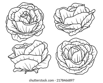 Flower Hand drawn sketch line art illustration