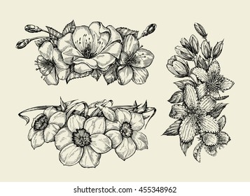 Flower. Hand drawn sketch tutsan, hypericum, narcissus, cherry flowers. Vector illustration