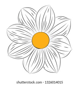 flower hand drawn, flower sketch vector illustration