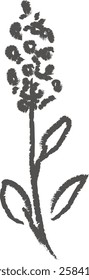 Flower Hand Drawn Sketch Vector Illustration