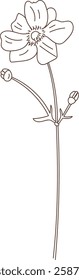 Flower Hand Drawn Sketch Vector Illustration