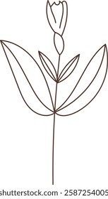 Flower Hand Drawn Sketch Vector Illustration