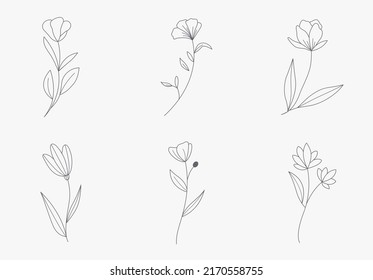 flor de estilo dibujado a mano. flor y blanco y negro floral. Ilustración del día de San Valentín, decoración de bodas, logotipo y plantilla de identidad.