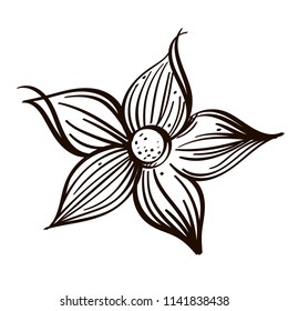 Flower in hand drawn style. Decorative floral element for greeting cards, invitations and much more. Outline vector illustration isolated on white background.