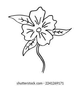 Flower hand drawn vector design template