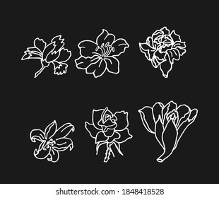 Flower hand drawn vector illustration art. Set collection of flower with white outline style drawing.