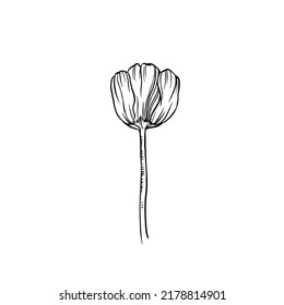 ilustración de vector con mano de flor