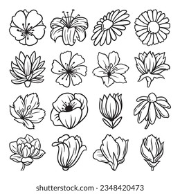 Flower hand drawn vector set 