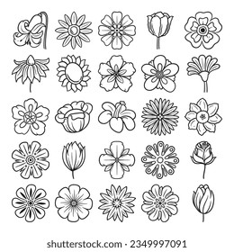 flower hand drawn vector set
