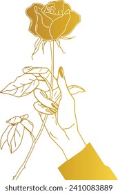 flower in a hand, vector line art, valentine concept illustration, rose, romantic botanical vector, symbolic rose illustration