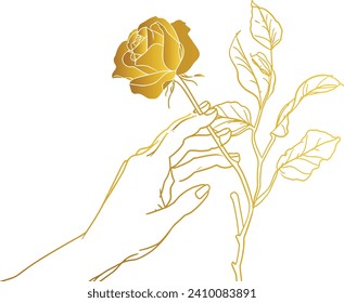 flower in a hand, vector line art, valentine concept illustration, rose, romantic botanical vector, symbolic rose illustration