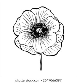 a flower handdrawn black white vector