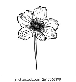 a flower handdrawn black white vector