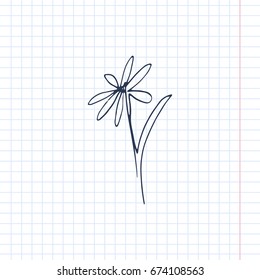 flower Hand-drawn vector illustration. sketch on the paper