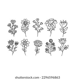 flower handrawn doodle illustrations vector set