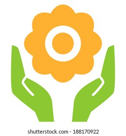 Flower in hands