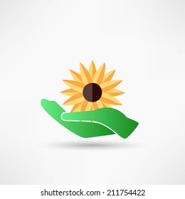 Flower in hands
