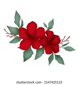 Flower hawaii red color with draw watercolor, concept nature, summer, rose, blossom, artwork, splash, wallpaper, card, Christmas