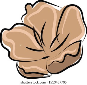 Flower head, illustration, vector on white background.