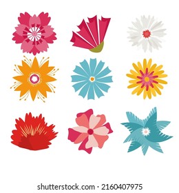 Flower head vector icons set - nature, plants, spring design collection. Colorful different flower isolated on white ,Flat  floral design elements