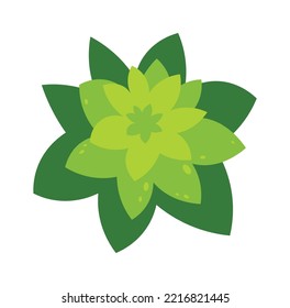 Ilustración plana de la planta de cabeza de flor