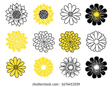 Flower head vector icon set. Daisy, sunflower and golden-daisy plants.