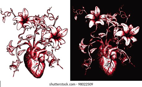 Blood Flower High Res Stock Images Shutterstock