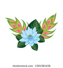 flower with heliconias and leafs nature vector illustration design