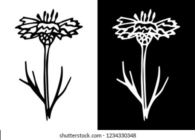 flower herb floral hand drawn sketch black and white doodle