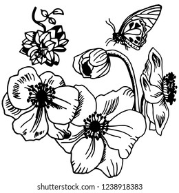 flower herb floral hand drawn sketch black and white doodle
