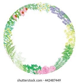 Flower herb of frame
