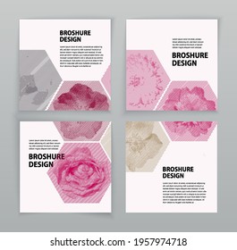 Flower hexagon business background. Pink rose, peony stroke template. Vector illustration