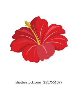 Flower hibiscus blossom petal isolated flat vector illustration on white background