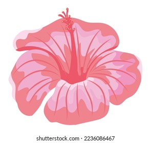 flower hibiscus icon flat isolated