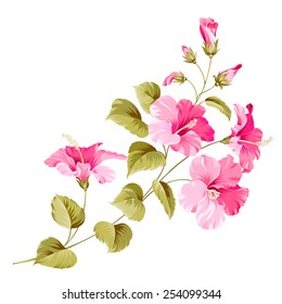 Flower hibiscus tropical plant. Vector illustration.