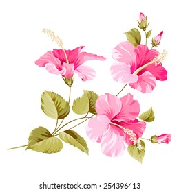 Flower hibiscus tropical plant. Vector illustration.