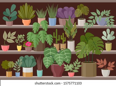 Flower and home plant store. Vector Illustration