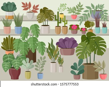 Flower and home plant store. Vector Illustration