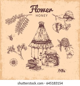 Flower honey hand drawn composition with bees hive and combs on beige worn background vector illustration
