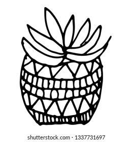 flower houseplant cactus vector